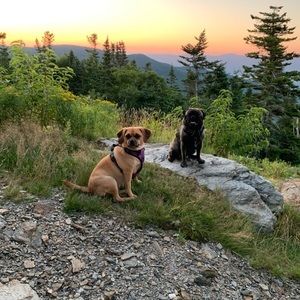 Meet your Posher, Lydia